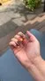 Cirque Colors Ube Jelly nagellack lila transparent