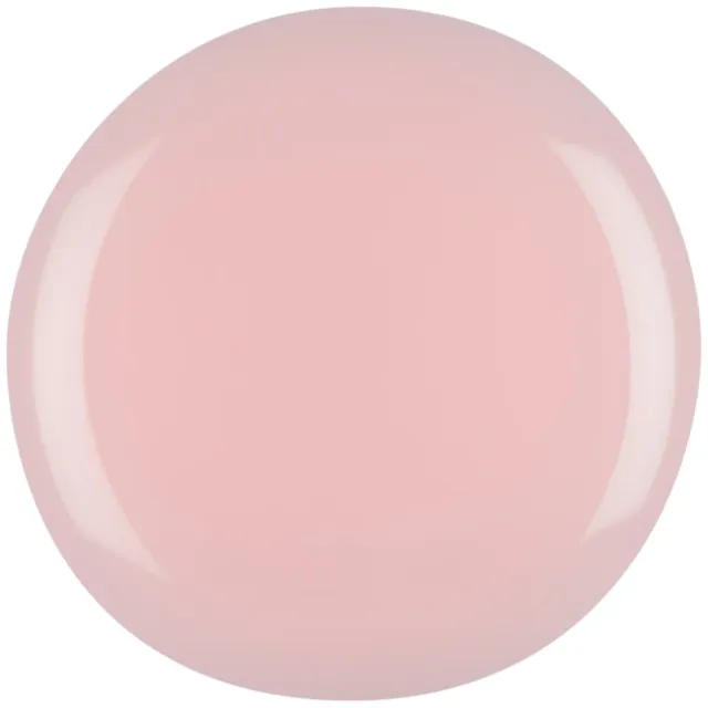 Iz Beauty PRO COLOUR Honey IZHO buildergel 4g sheerrosa