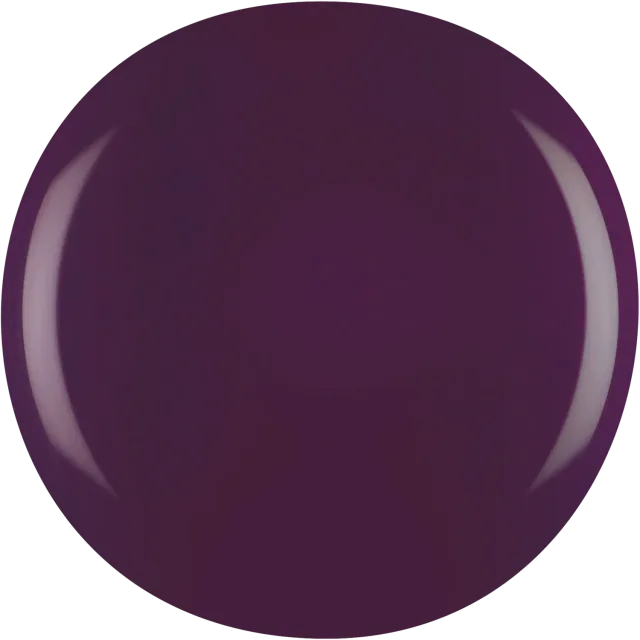 Iz Beauty Pro Colour Elderberry IZ787 gel bär 4g