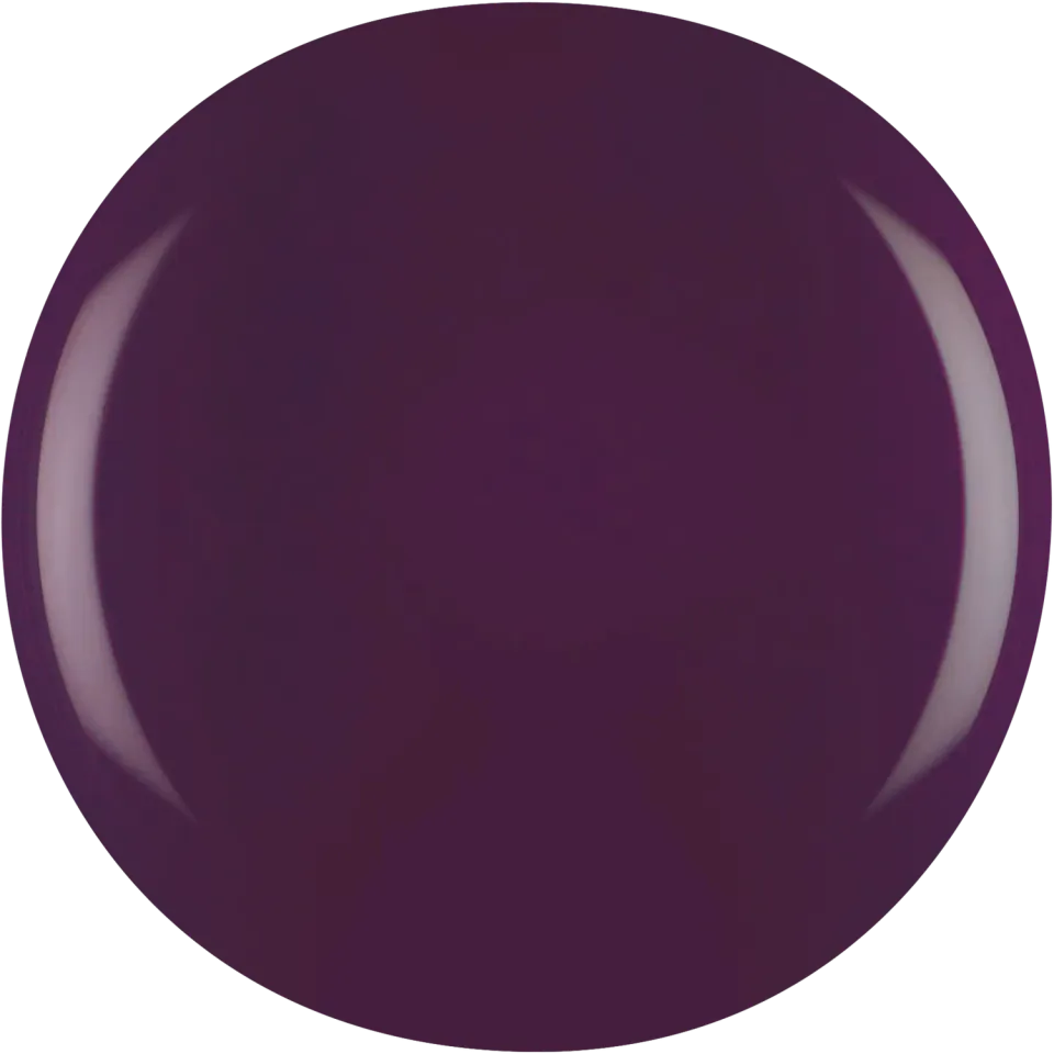 Iz Beauty Pro Colour Elderberry IZ787 gel bär 4g
