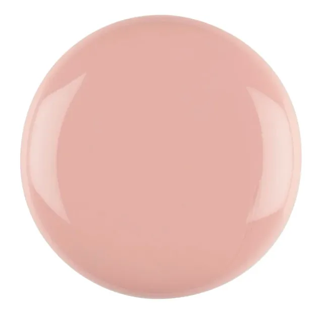 Iz Beauty Calgel Hide & Seek CG972 gellack 10 g solid