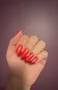 Cirque Colors Day Tripper nagellack neon korall