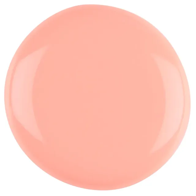 Iz Beauty Pro Colour Good Karma IZ896 gel 4 g