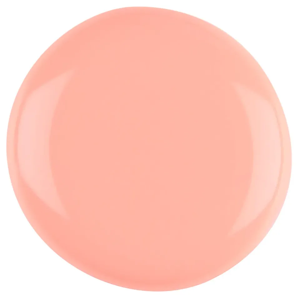 Iz Beauty Pro Colour Good Karma IZ896 gel 4 g