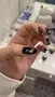 Cirque Colors What a Stud nagelverktyg med vaxspets