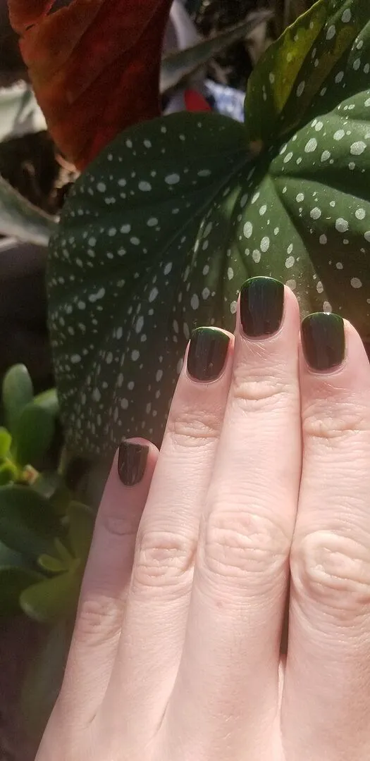 Cirque Colors McKittrick nagellack mörkgrön crème