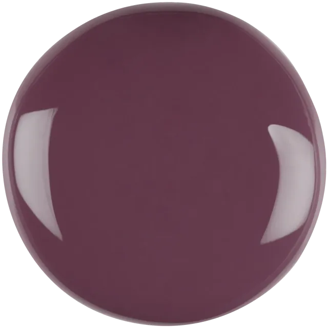 Iz Beauty Pro Colour IZ821 gellack 4g mörklila solid