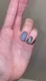 Cirque Colors Black Swan nagellack magnetisk svart