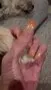 Cirque Colors Cast a Spell nagellack thermal holo