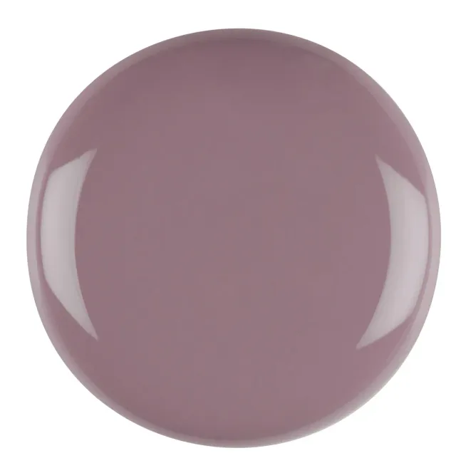 Iz Beauty Pro Colour Snapshot IZ847 gellack 4g mjölkchoklad