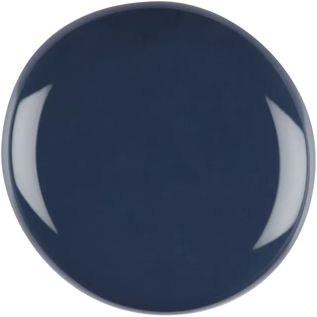 Iz Beauty Pro Colour Get Focused IZ845 gellack 4 g blå