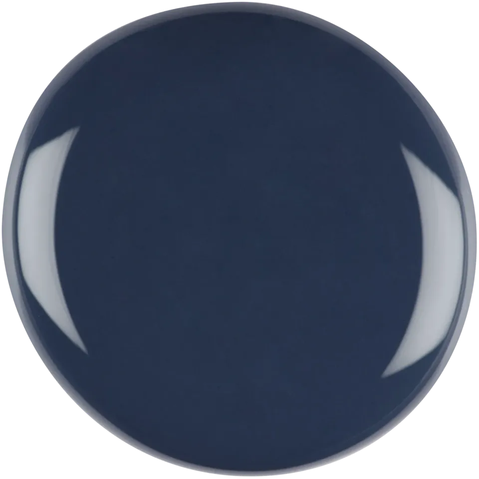 Iz Beauty Pro Colour Get Focused IZ845 gellack 4 g blå