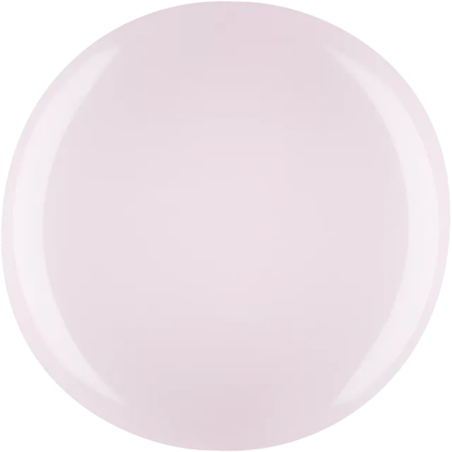 Iz Beauty PRO Colour Renaissance IZ777 gel 4g beige