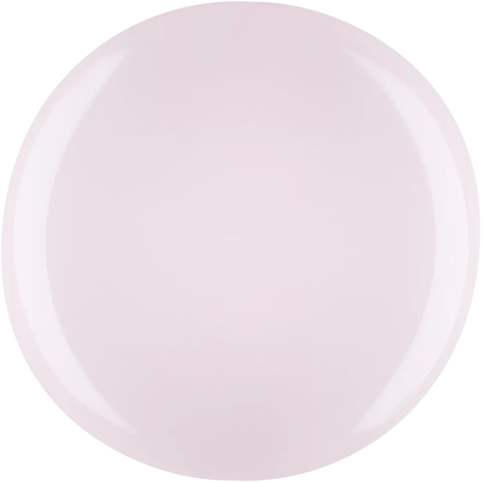 Iz Beauty PRO Colour Renaissance IZ777 gel 4g beige