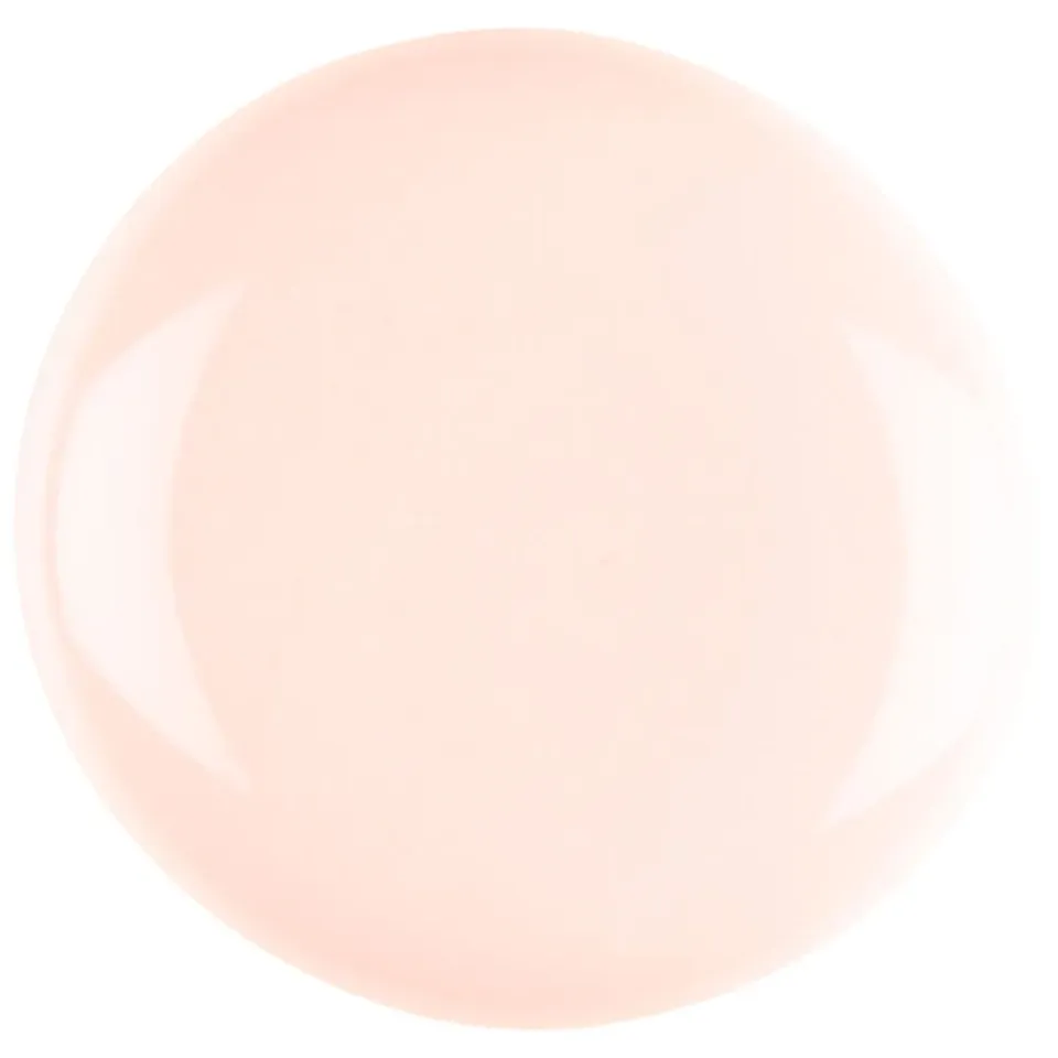 Iz Beauty PRO COLOUR Barely There färggel 4g naturellrosa