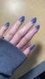Cirque Colors Nocturne nagellack mörkblått skimmer