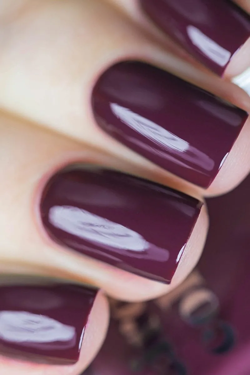 Cirque Colors La Vie Boheme nagellack mörklila crème