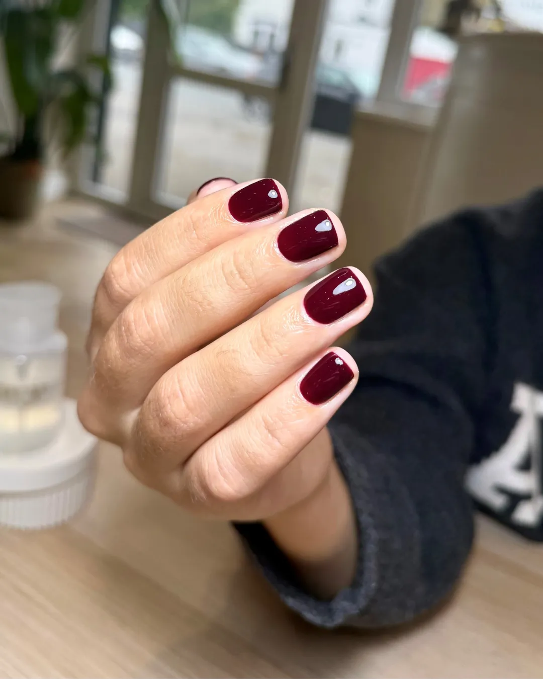 Iz Beauty Pro Colour Obsession IZ613 gel 4 g bordeaux