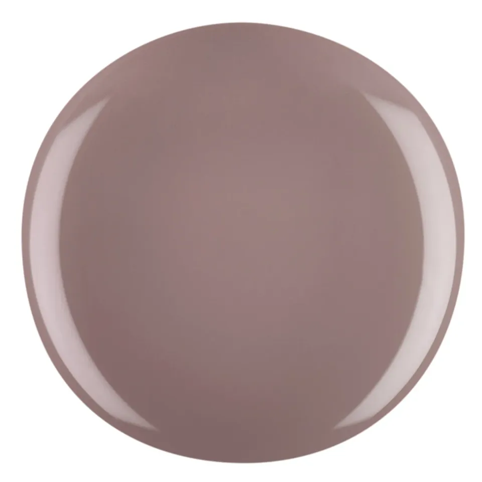 Iz Beauty Pro Colour Mink Coat IZ127 färggel 4g brun