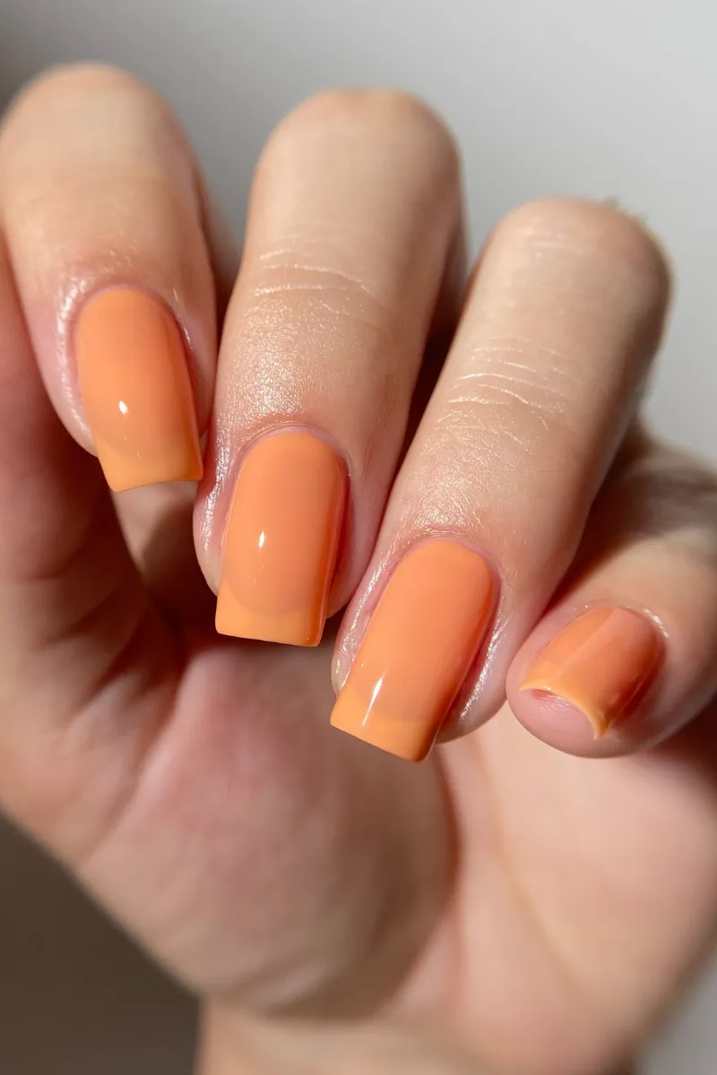 Cirque Colors Over The Rainbow nagellack set 6-pack pastell