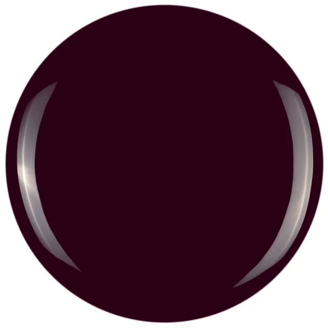 Iz Beauty Pro Colour Obsession IZ613 gel 4 g bordeaux