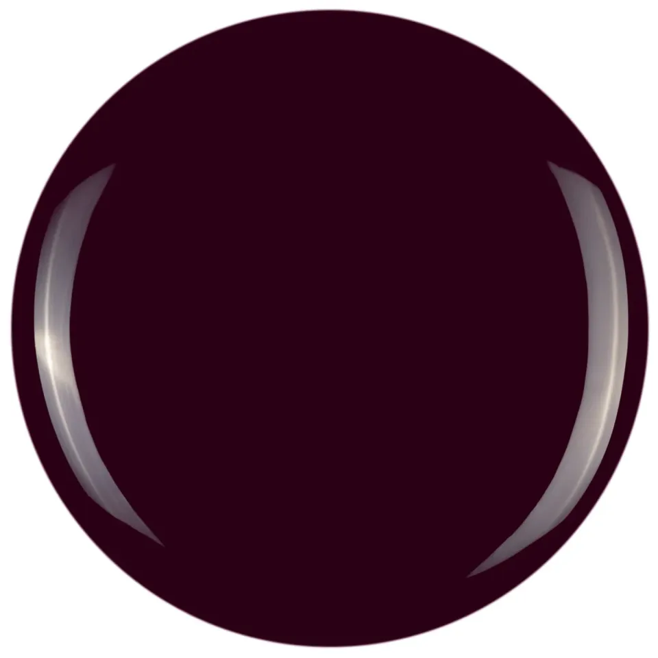 Iz Beauty Pro Colour Obsession IZ613 gel 4 g bordeaux