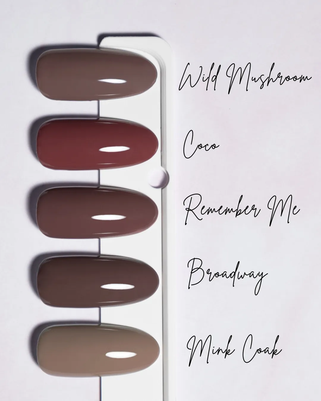 Iz Beauty Pro Colour Remember Me IZ610 gel 4g chokladbrun