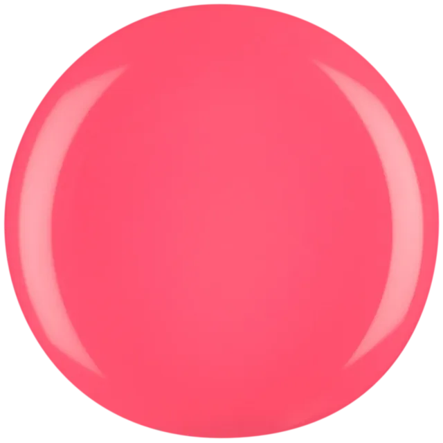 Iz Beauty Pro Colour Playa All Day IZ782 gel 4g