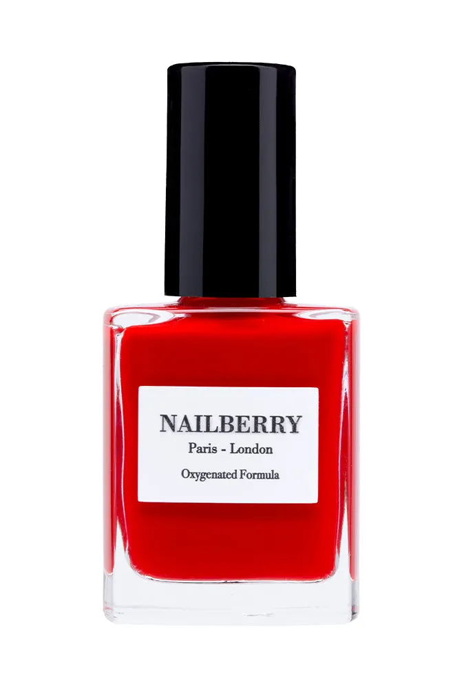 Nailberry The Discovery Set nagellackset 4x10 ml