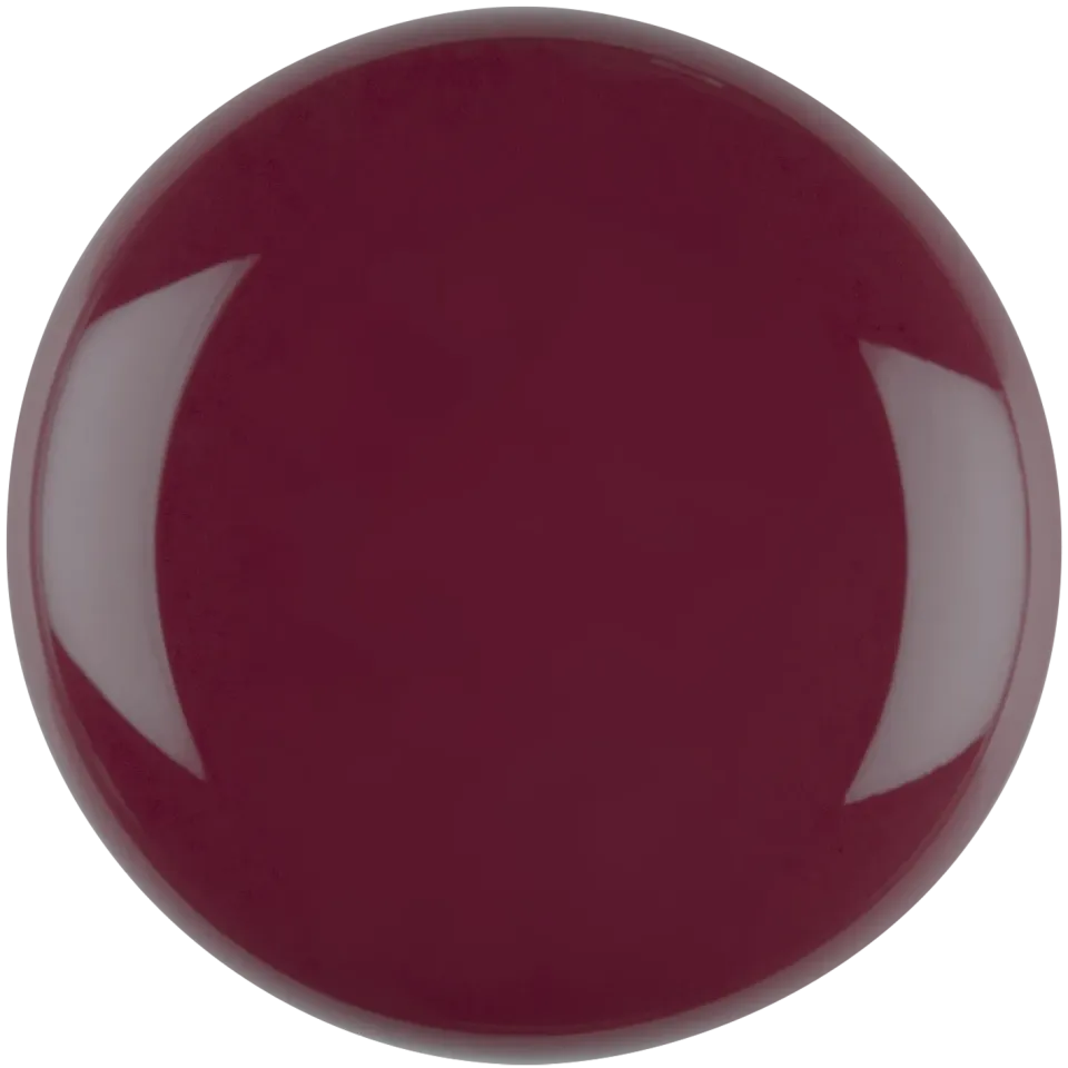 Iz Beauty Pro Colour IZ869 gellack Home Midnight 4g brun
