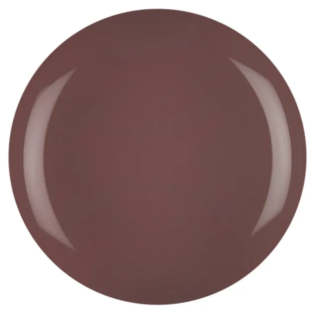 Iz Beauty Pro Colour Remember Me IZ610 gel 4g chokladbrun