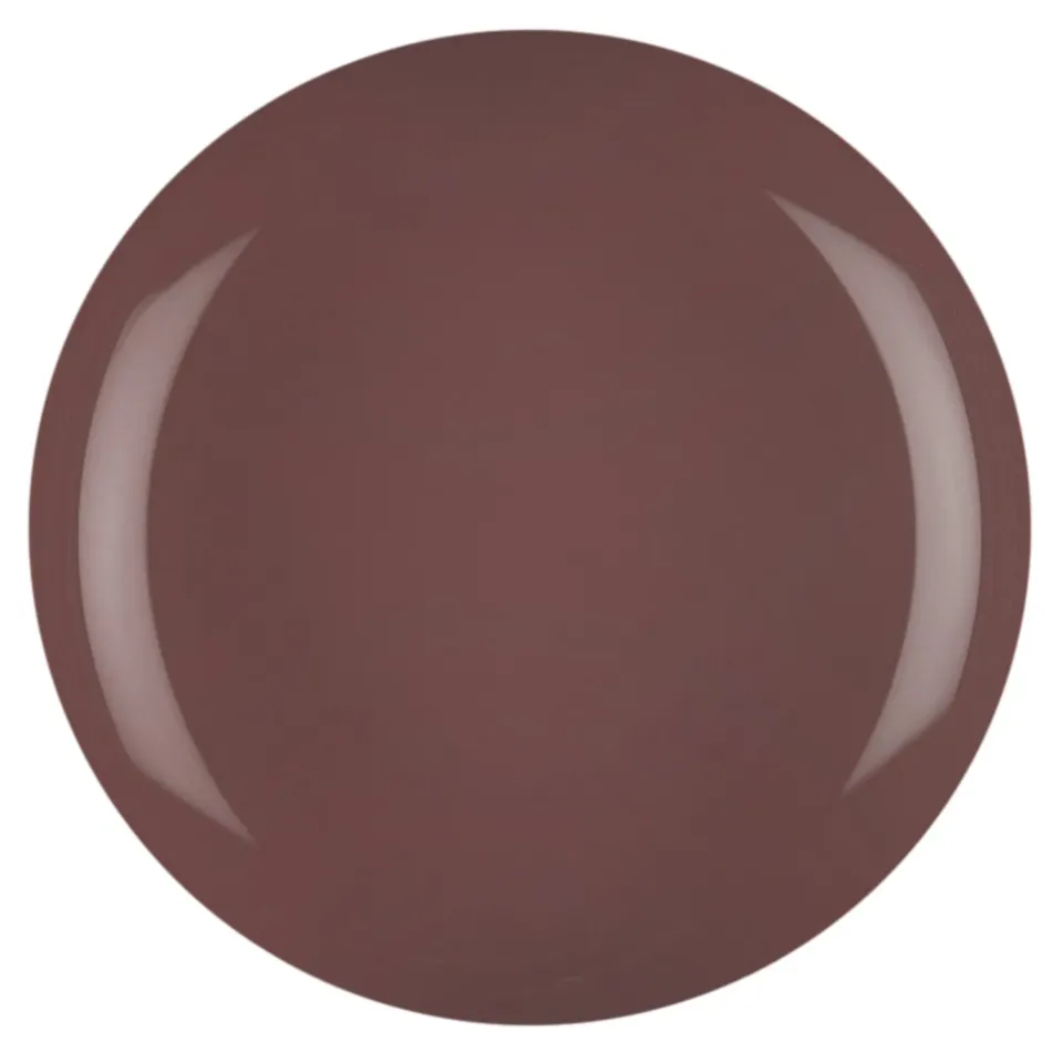 Iz Beauty Pro Colour Remember Me IZ610 gel 4g chokladbrun
