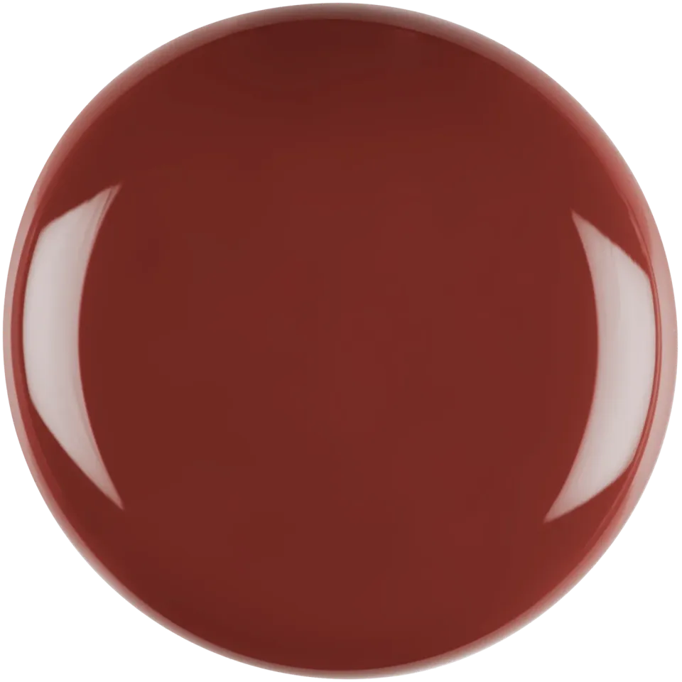 Iz Beauty Pro Colour Made In Manhattan IZ818 4 g rost