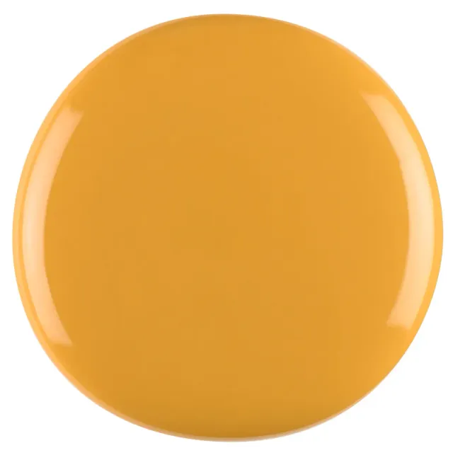 Iz Beauty Pro Colour Indian Monsoon IZ856 färggel 4g senap