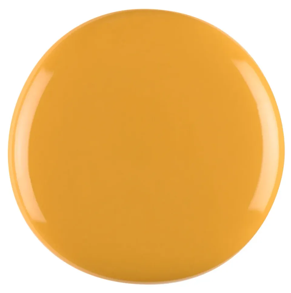 Iz Beauty Pro Colour Indian Monsoon IZ856 färggel 4g senap