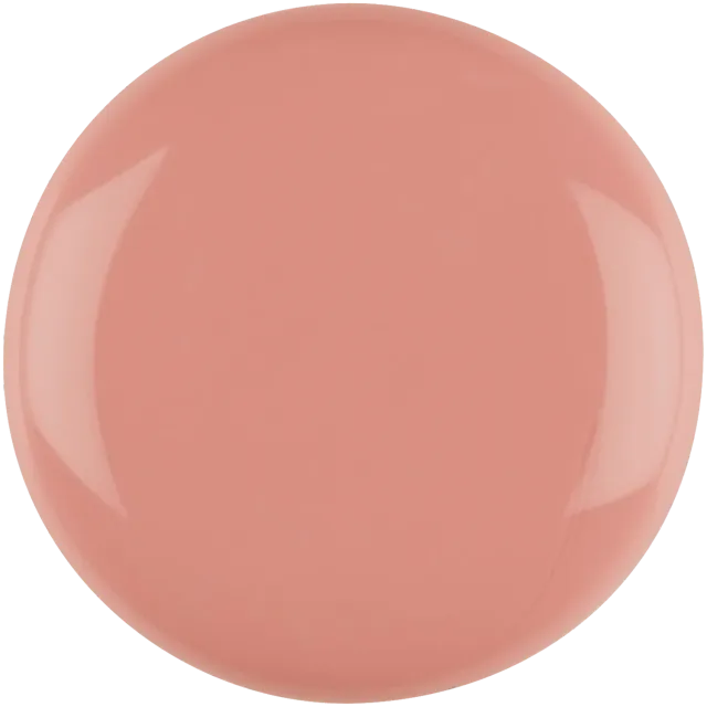Iz Beauty Pro Colour Cashmere IZ723 gel 4g sheer terrakotta