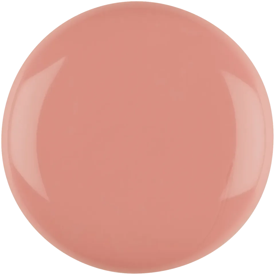 Iz Beauty Pro Colour Cashmere IZ723 gel 4g sheer terrakotta