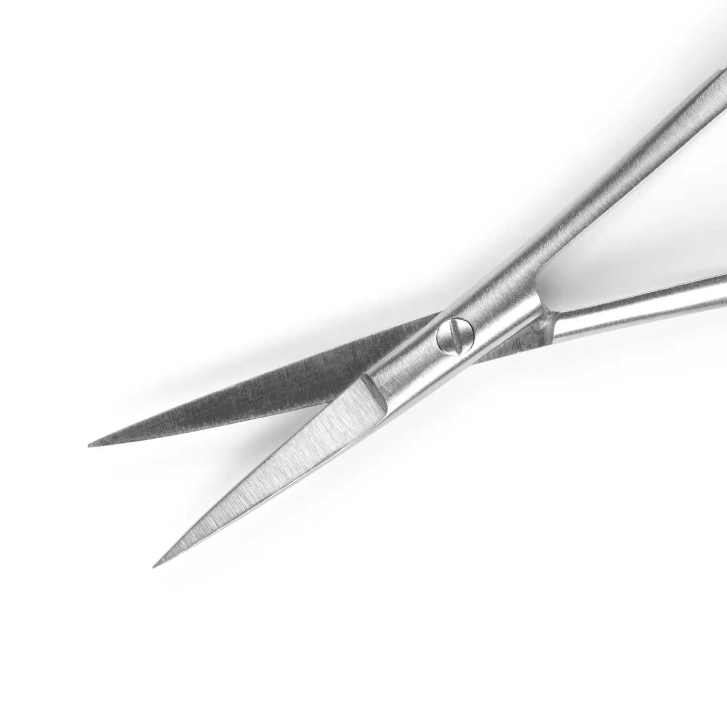 Iz Beauty nagelbandssax rostfritt stål precision