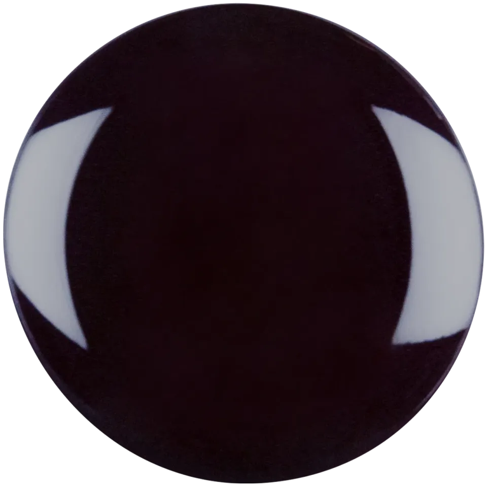 Iz Beauty Pro Colour Oxblood IZ950 färggel 4g mörk plommon