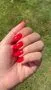 Cirque Colors Road Rage nagellack neonröd kräm