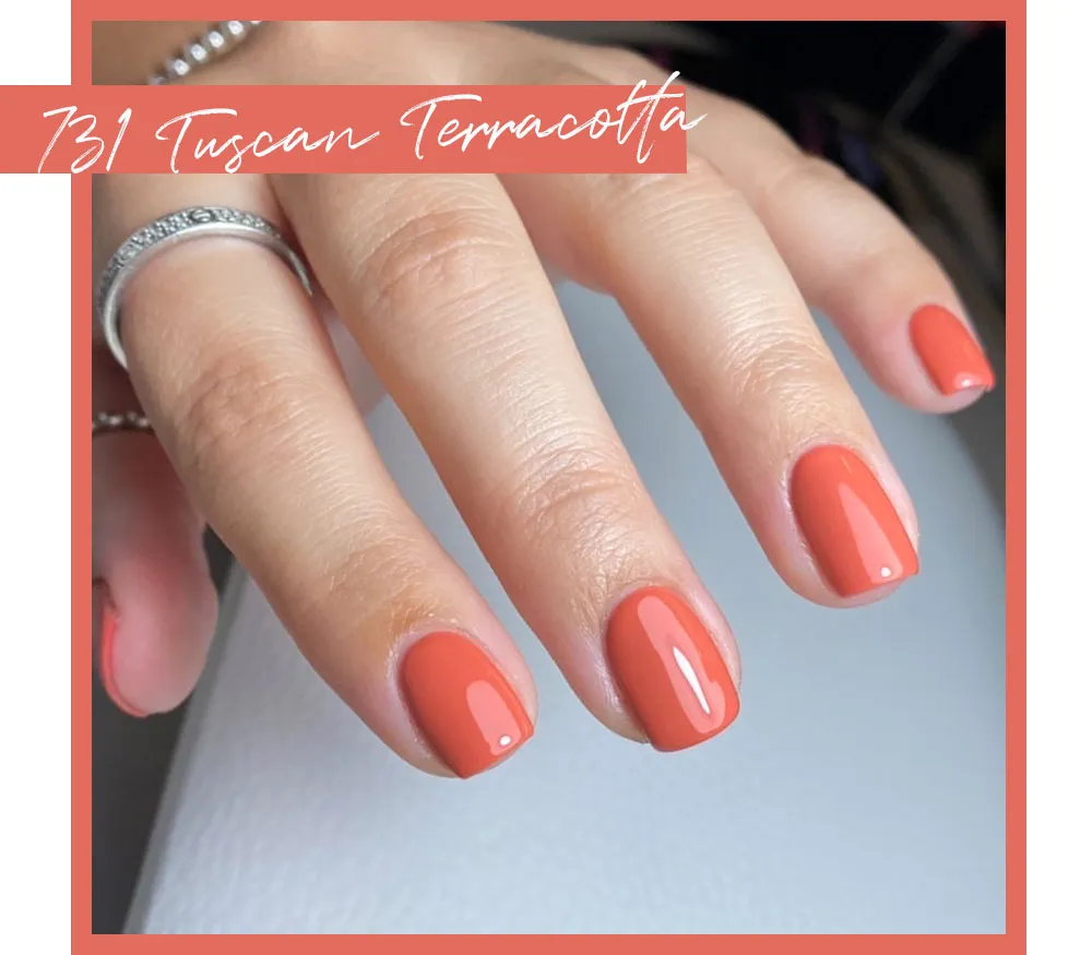 Iz Beauty Pro Colour Tuscan Terracotta IZ731 gel 4 g